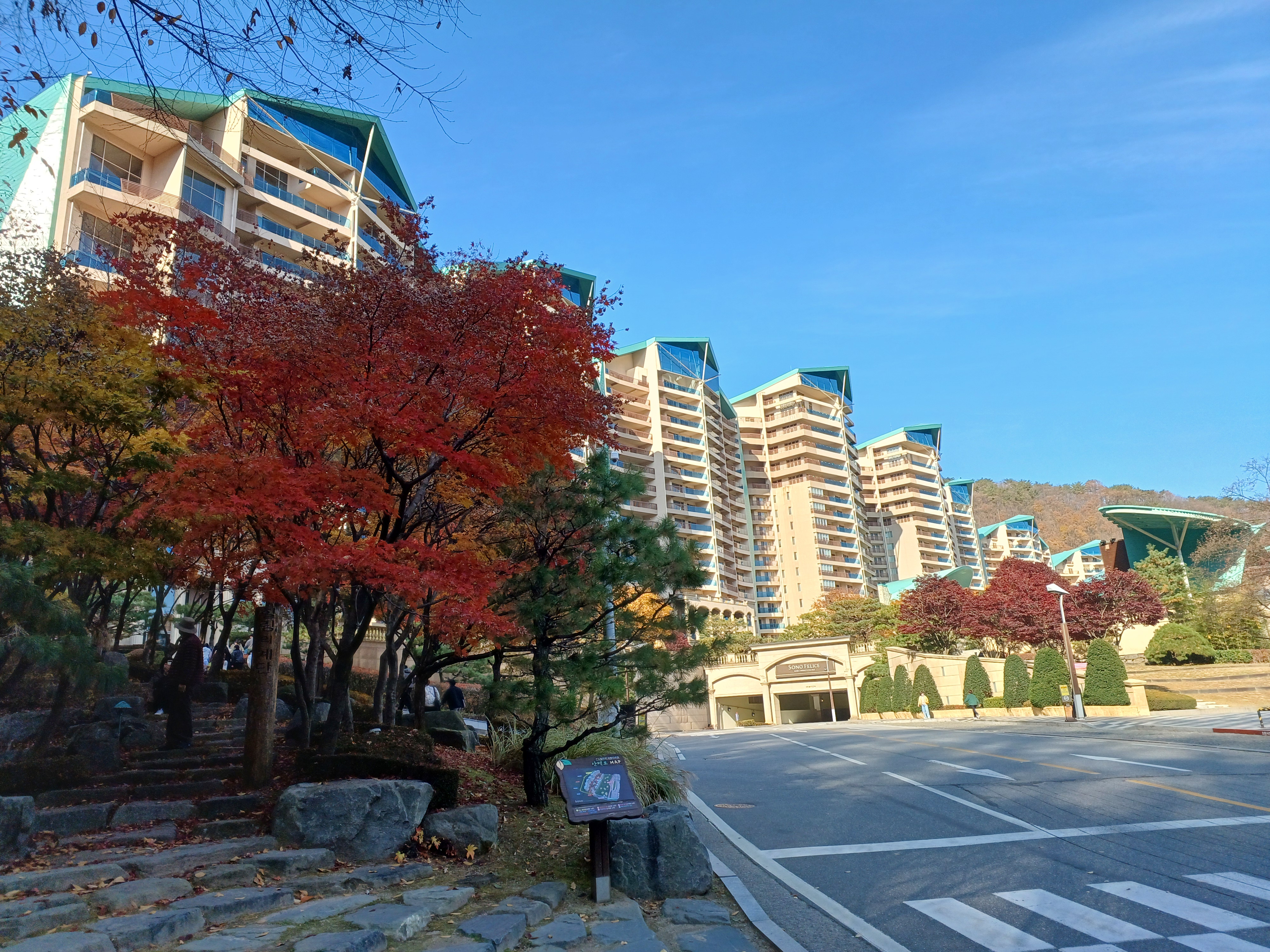 현장탐방(비발디파크)